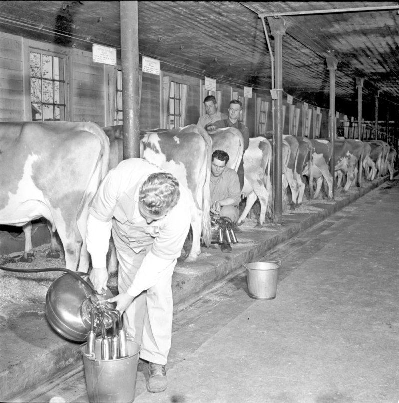 023_Fill the Pail and... (Undated).jpg